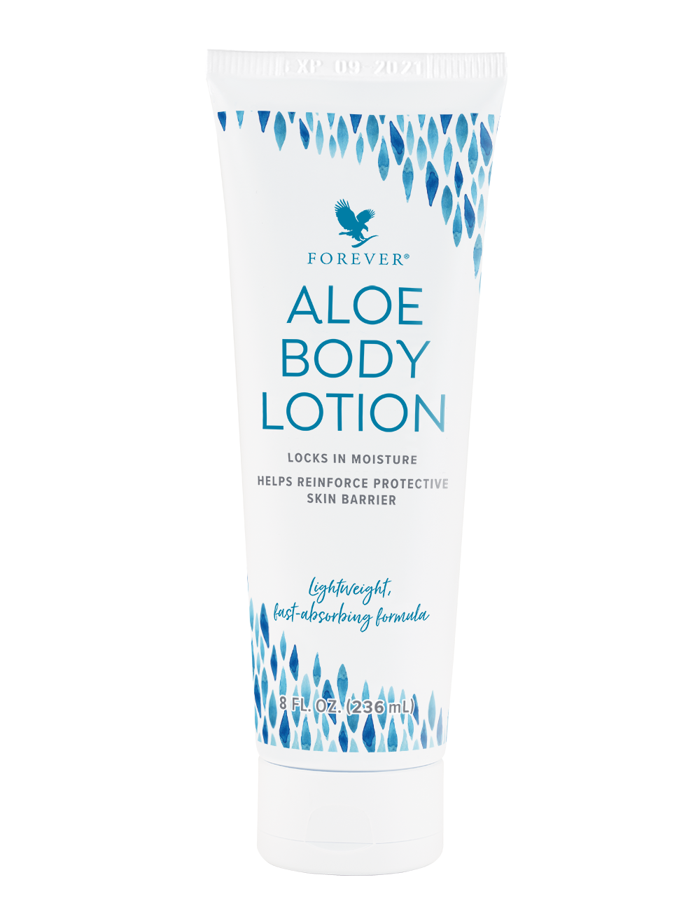 Aloe Body Lotion